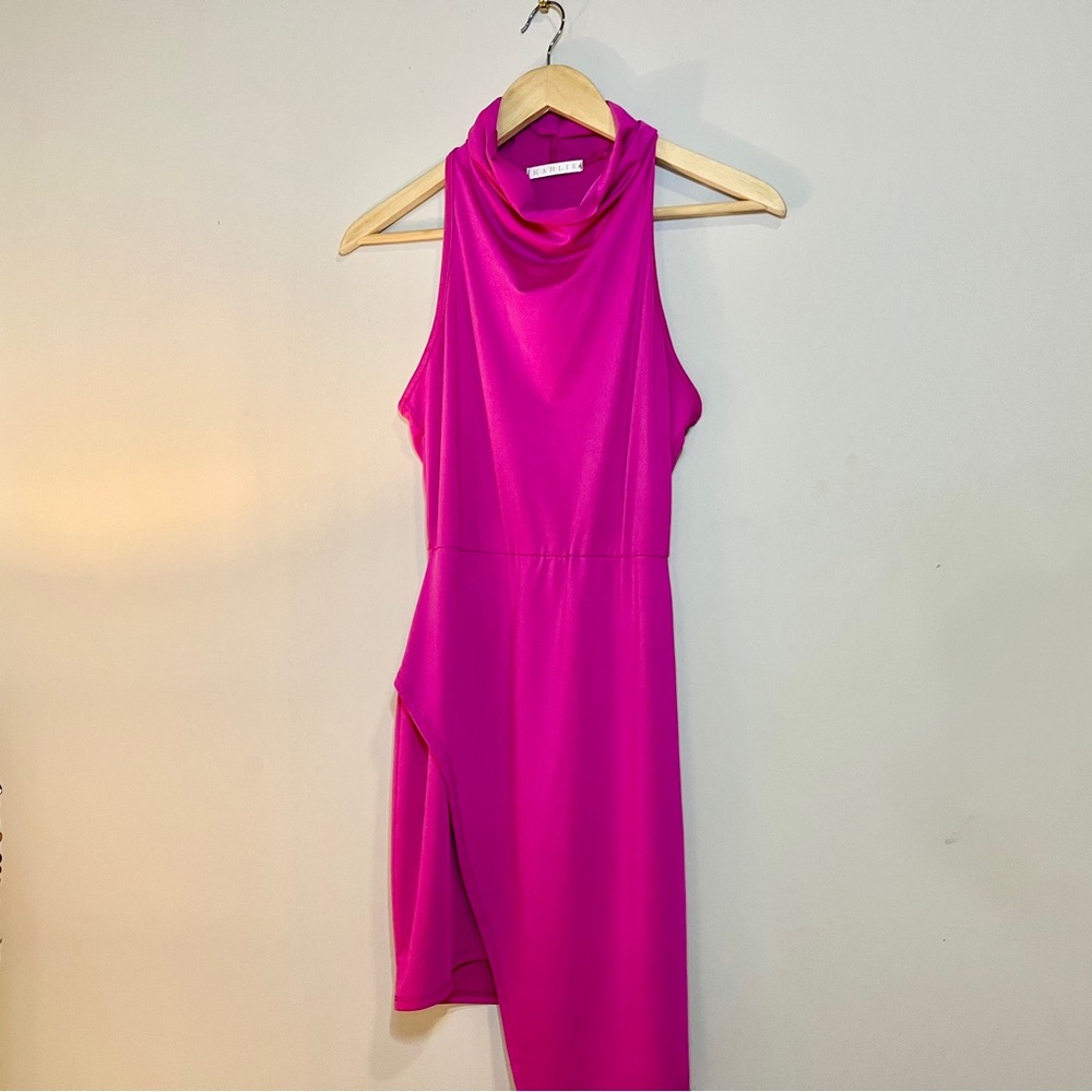 Pink Karlie Cowneck Dress